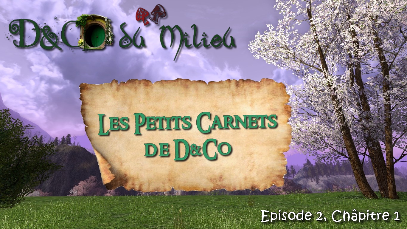 Episode 2: Les Petits Carnets de D&Co #1