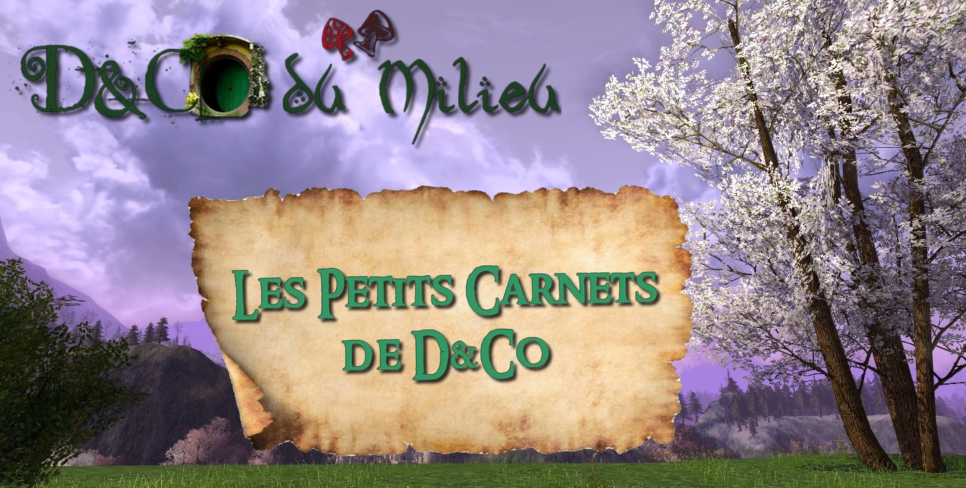 SDH4: Les Petits Carnets de D&Co
