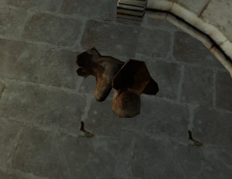 Chaussures de Forts