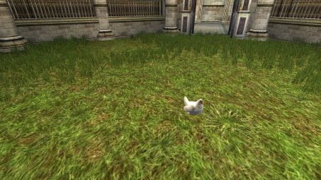 Poulet de pelouse blanc