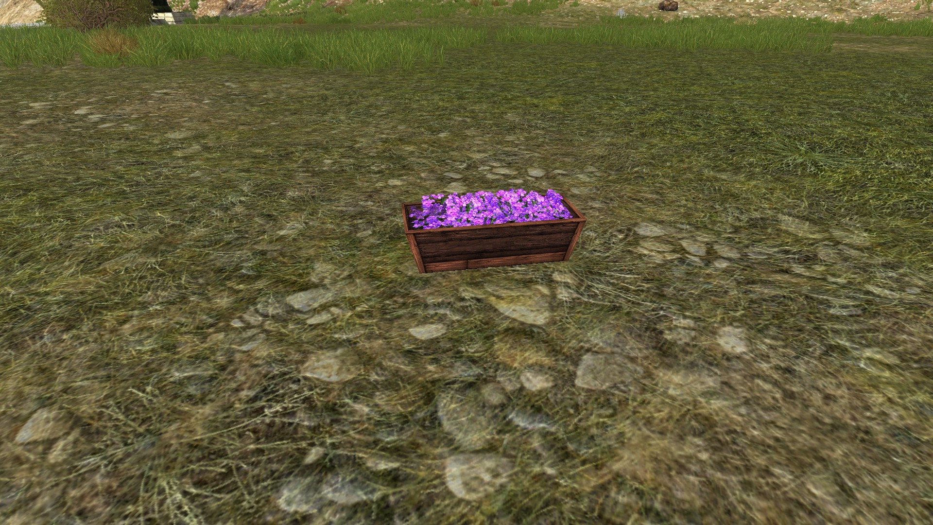Jardinière Surélevée de Violettes