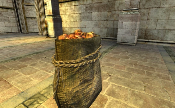 Sac de pommes de terre propres