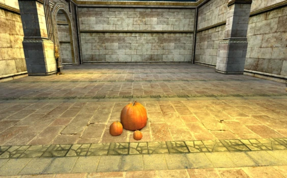 Citrouilles