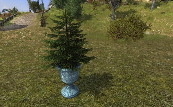 Arbre en pot chaleureux