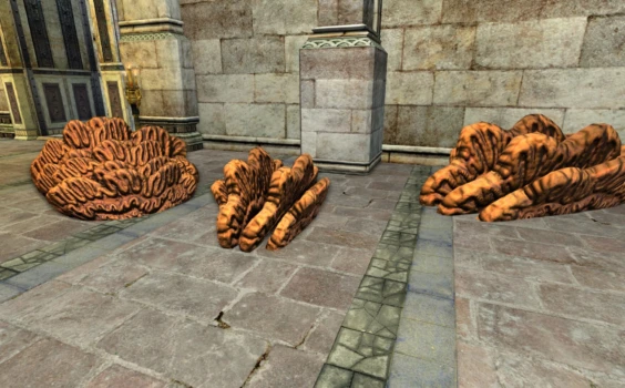 Lot de champignons spatulaires