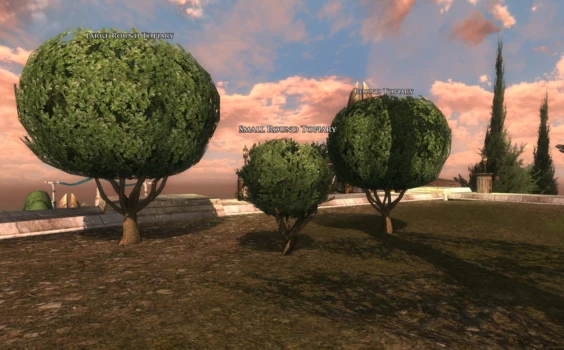 Lot de topiaires en buis de Zajana (sphériques)