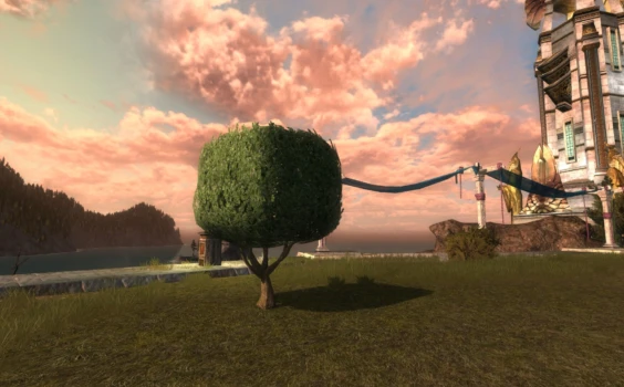 Topiaire en forme de cube