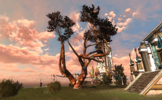 Arbre-mort noueux (rouge)