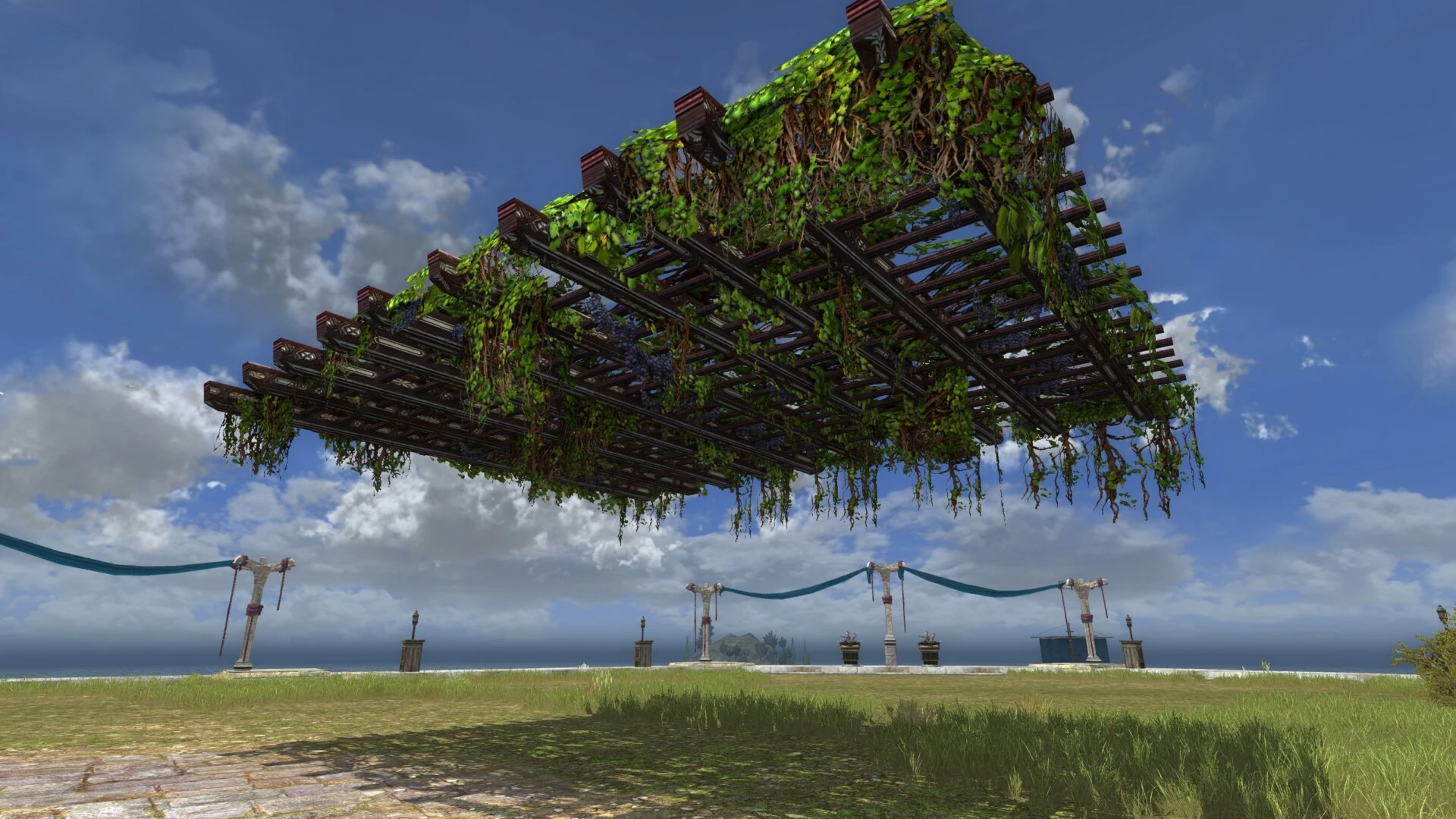 Pergola longue et large avec vignes (dessus)