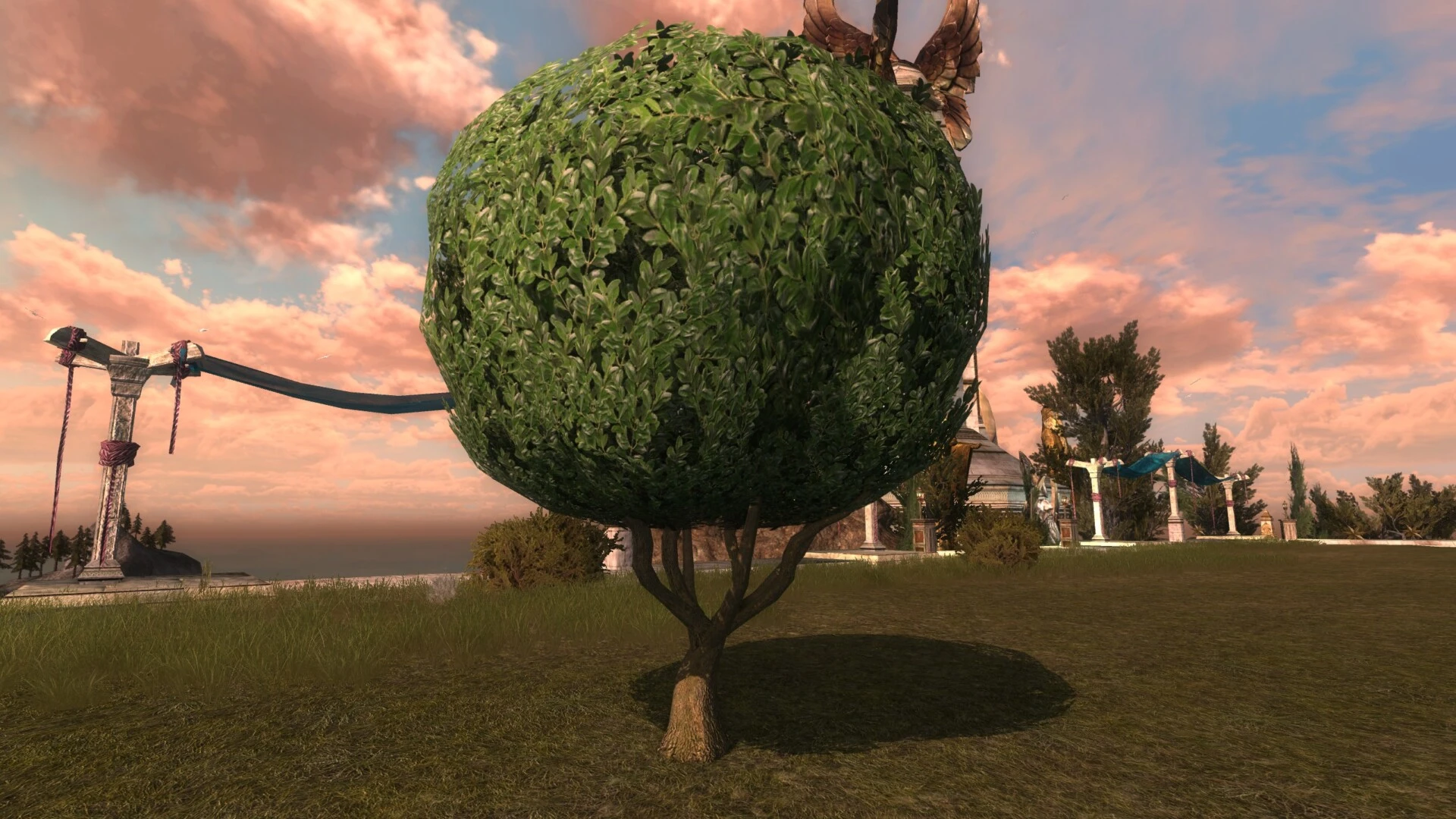 Grand topiaire rond