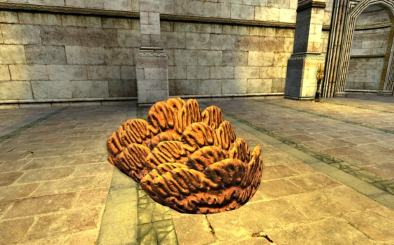 Grand amas de champignons spatulaires