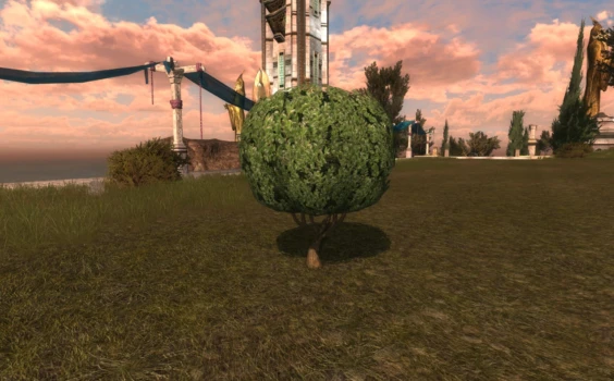 Petit topiaire rond